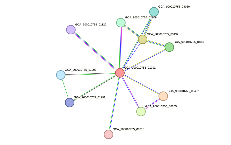 STRING protein interaction network