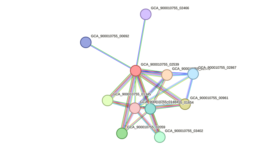 STRING protein interaction network