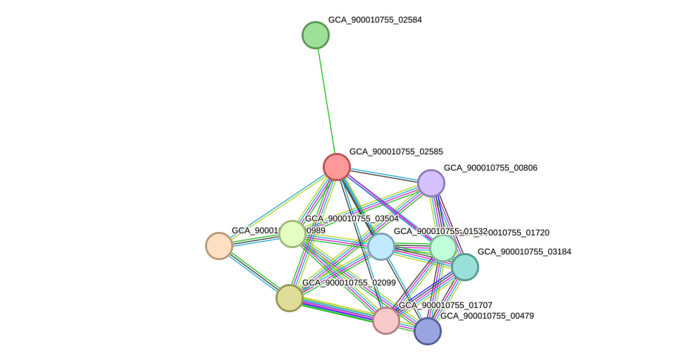 STRING protein interaction network