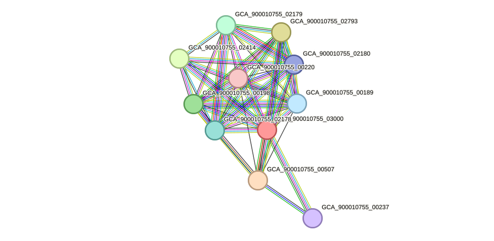 STRING protein interaction network