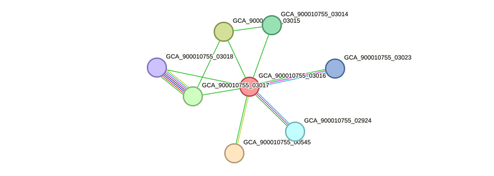 STRING protein interaction network