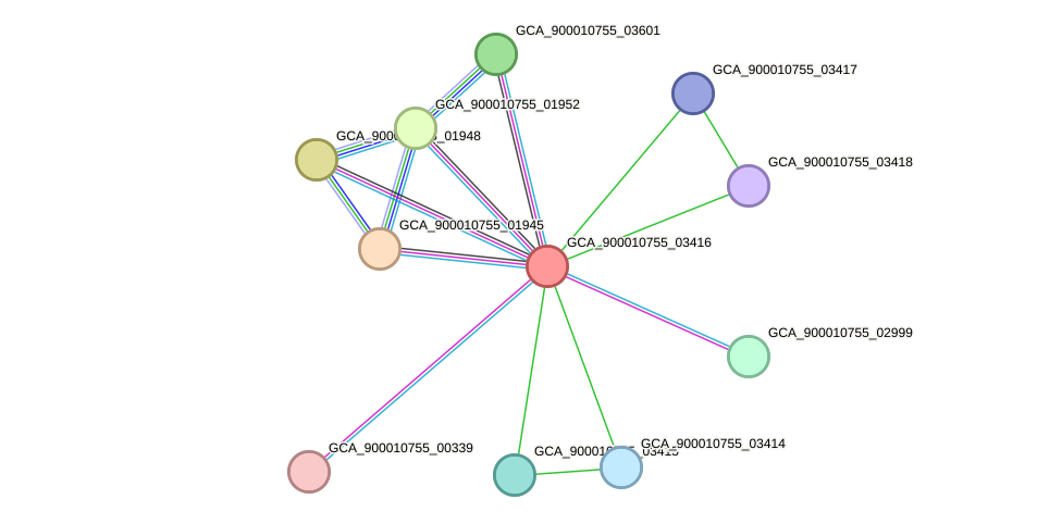 STRING protein interaction network