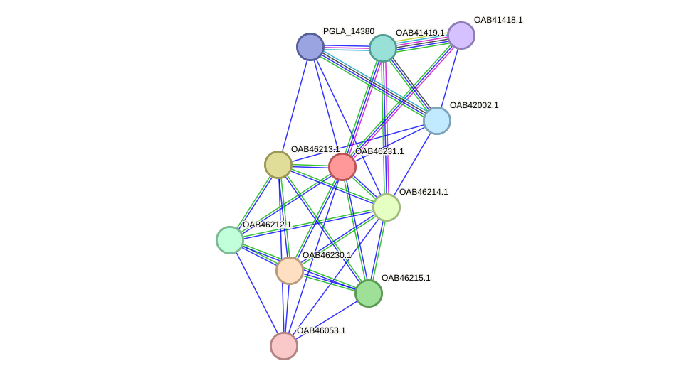 STRING protein interaction network