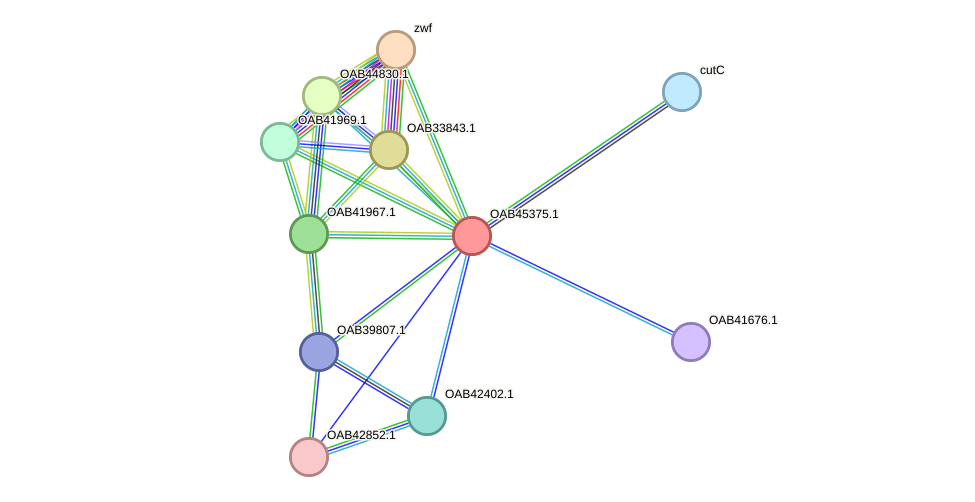 STRING protein interaction network