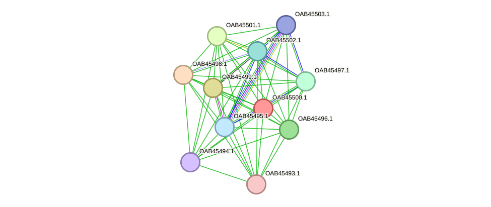 STRING protein interaction network