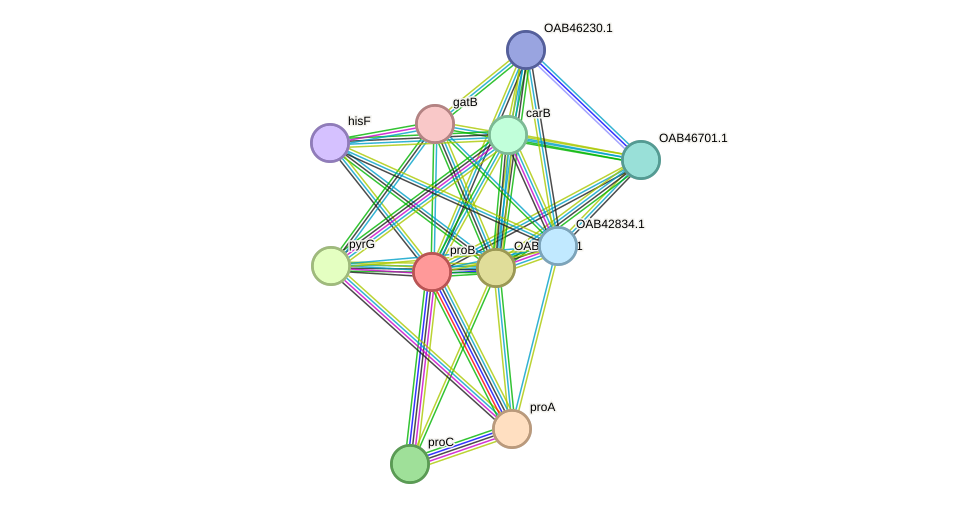 STRING protein interaction network