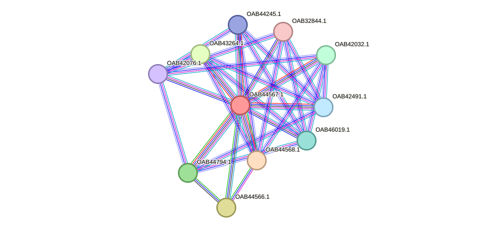 STRING protein interaction network