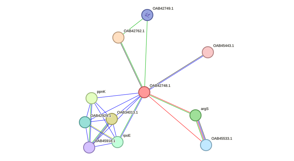 STRING protein interaction network