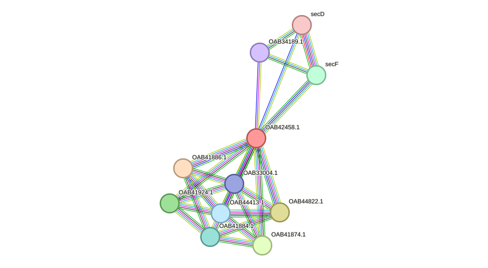 STRING protein interaction network