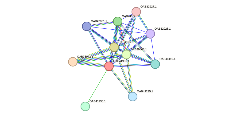 STRING protein interaction network