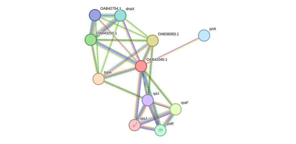 STRING protein interaction network