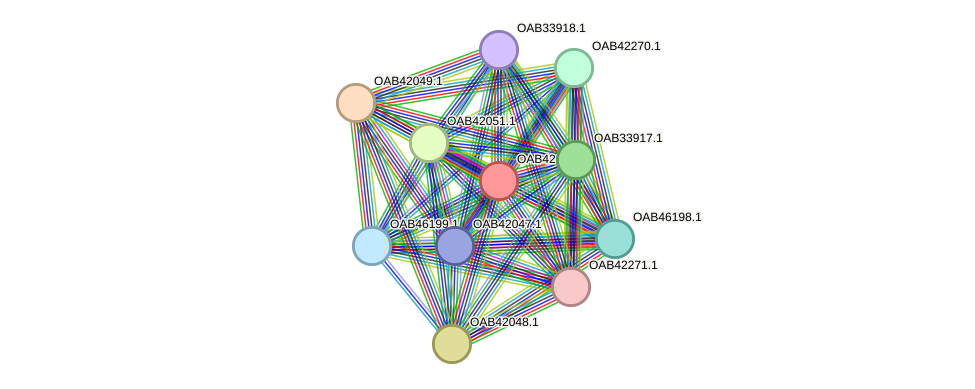 STRING protein interaction network