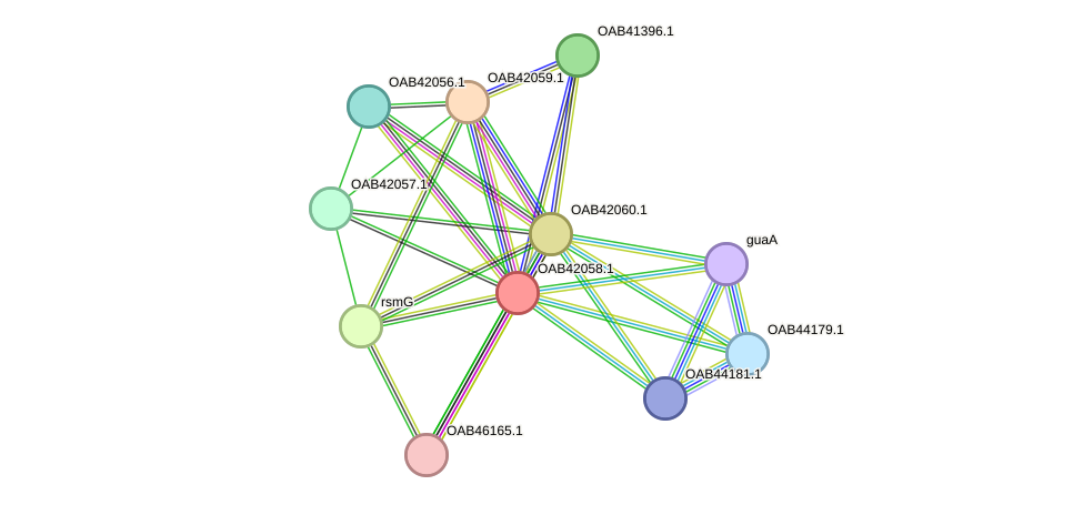 STRING protein interaction network