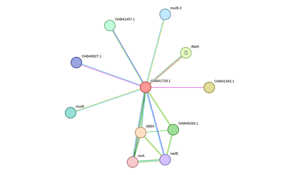 STRING protein interaction network