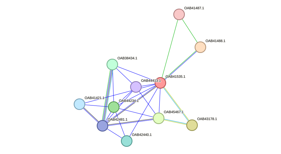 STRING protein interaction network