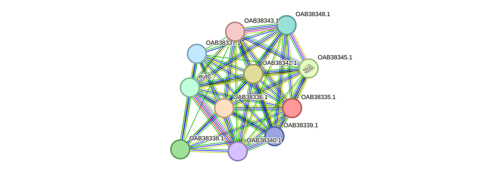 STRING protein interaction network