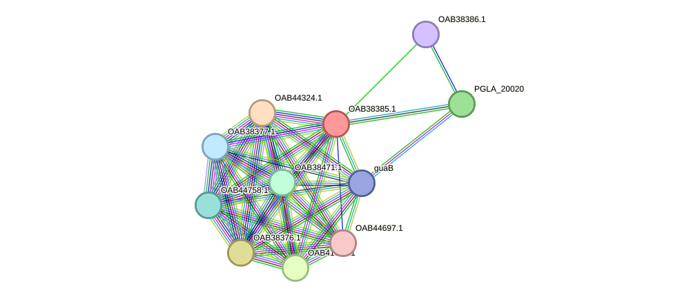 STRING protein interaction network