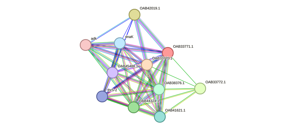 STRING protein interaction network