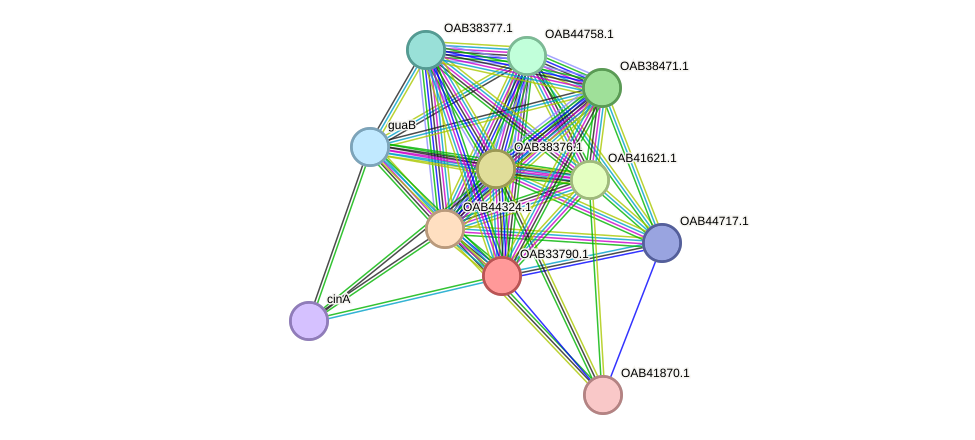 STRING protein interaction network