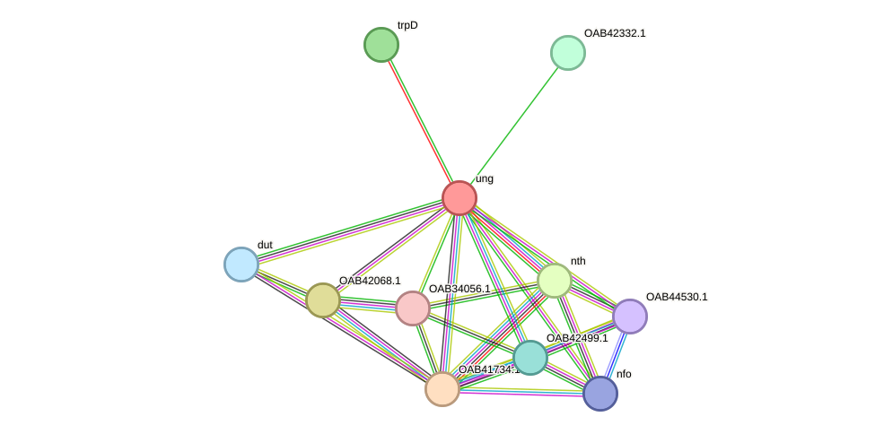 STRING protein interaction network