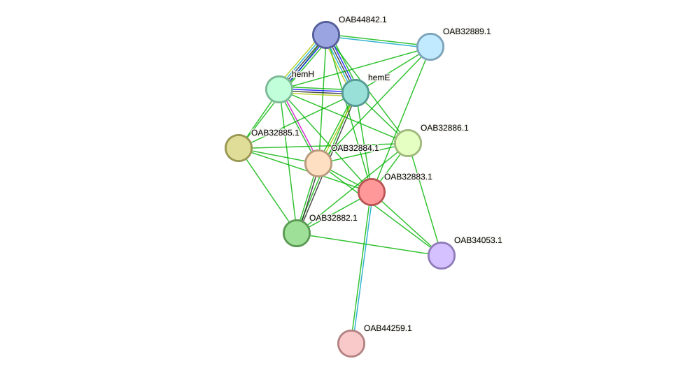 STRING protein interaction network