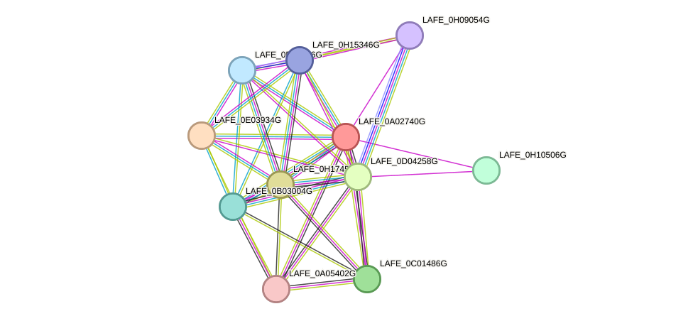 STRING protein interaction network