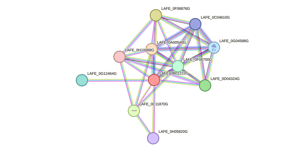 STRING protein interaction network