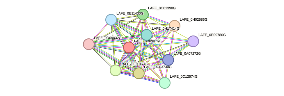 STRING protein interaction network