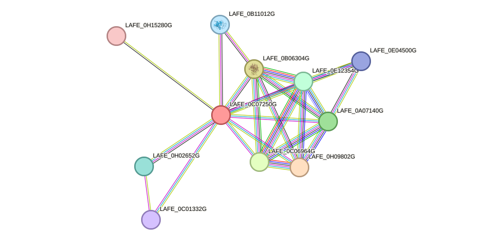 STRING protein interaction network