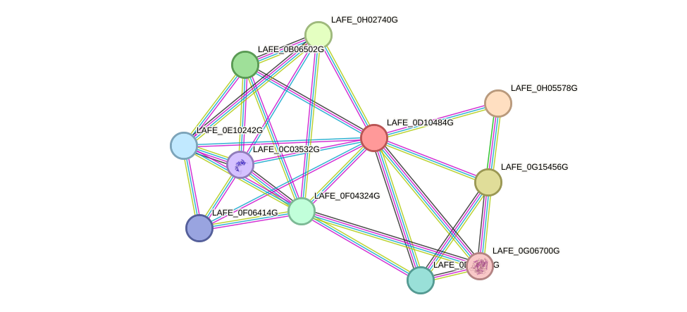 STRING protein interaction network