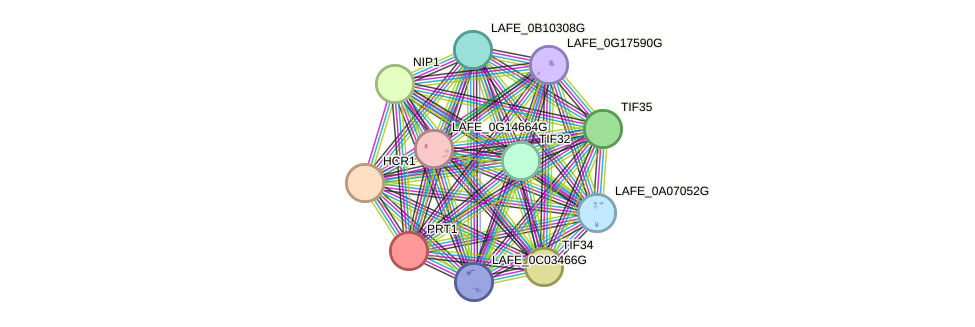 STRING protein interaction network