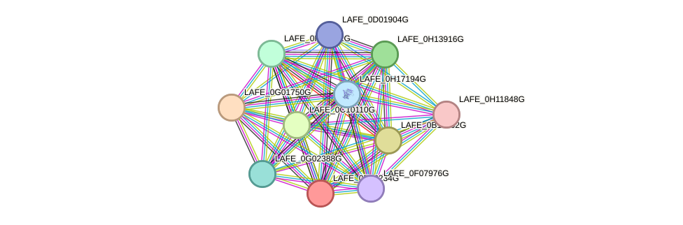 STRING protein interaction network