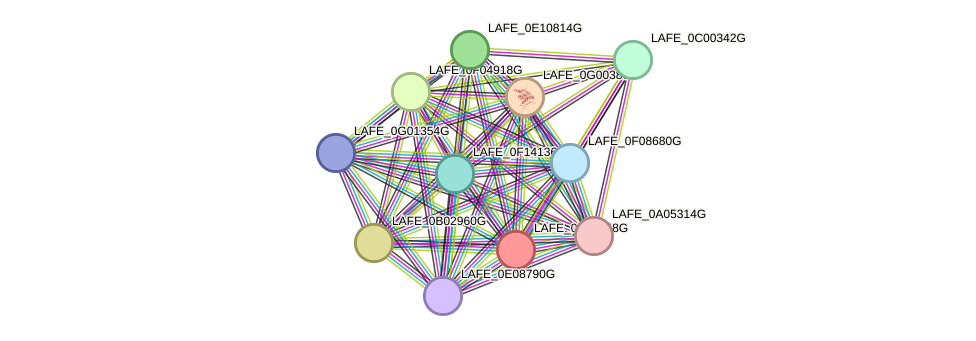 STRING protein interaction network