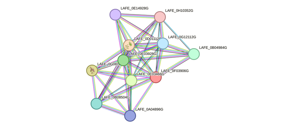 STRING protein interaction network