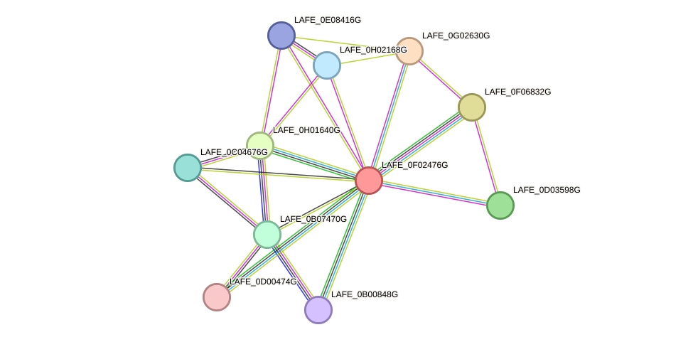 STRING protein interaction network