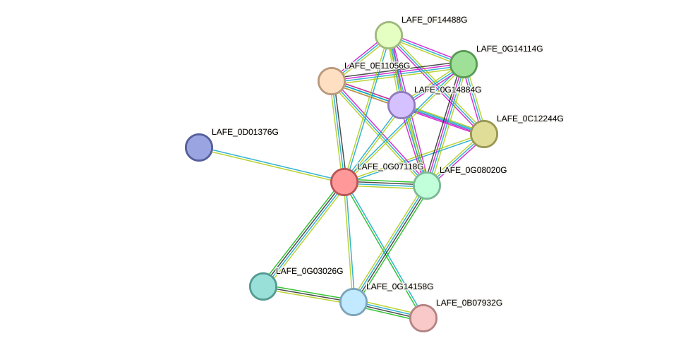 STRING protein interaction network