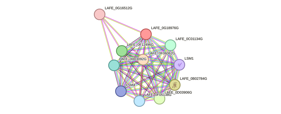 STRING protein interaction network