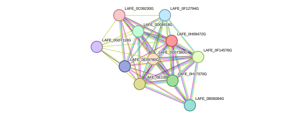 STRING protein interaction network