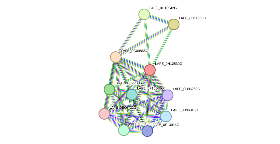 STRING protein interaction network