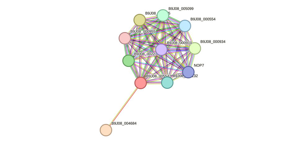 STRING protein interaction network