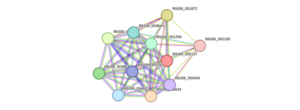 STRING protein interaction network