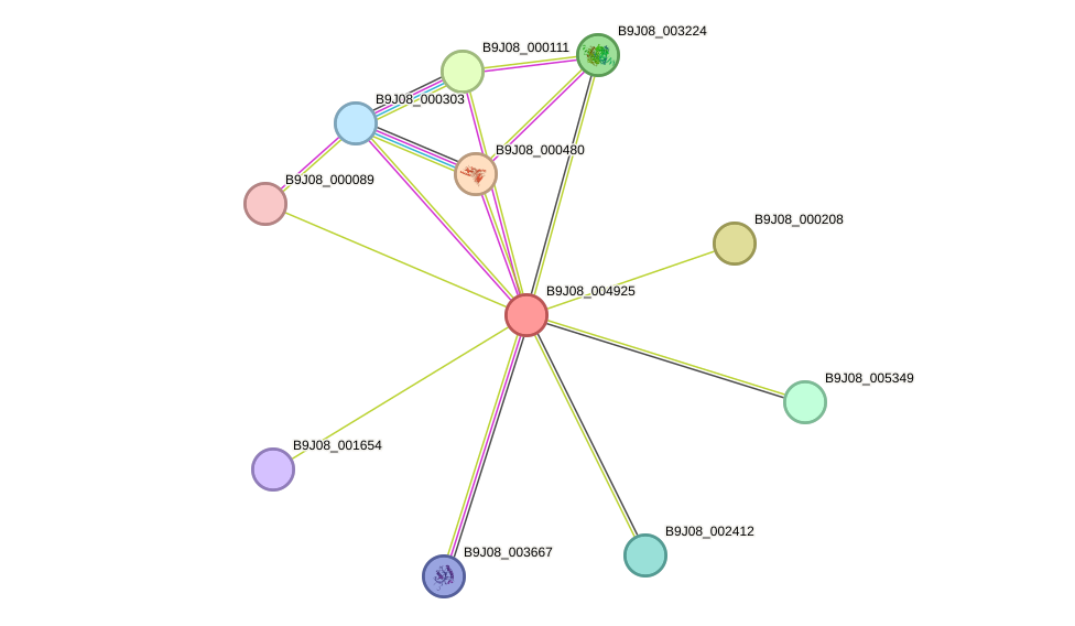 STRING protein interaction network