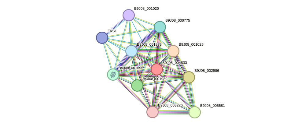 STRING protein interaction network