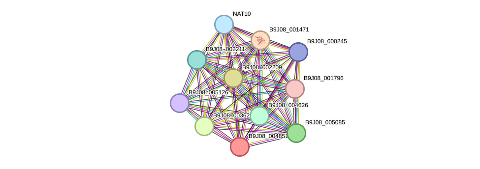 STRING protein interaction network