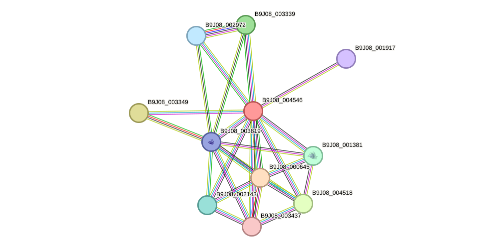 STRING protein interaction network