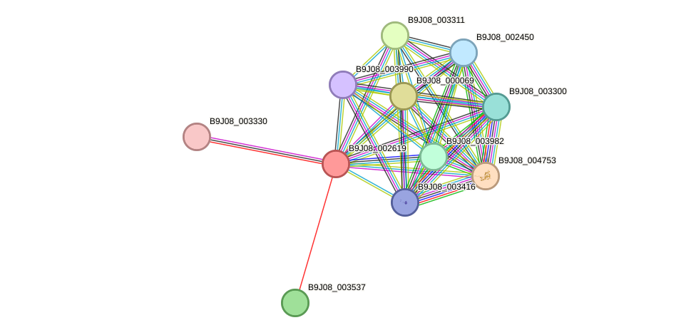 STRING protein interaction network