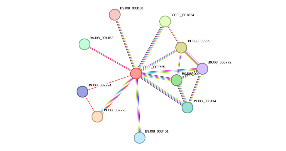 STRING protein interaction network