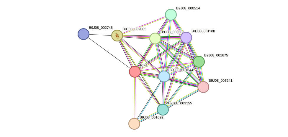 STRING protein interaction network