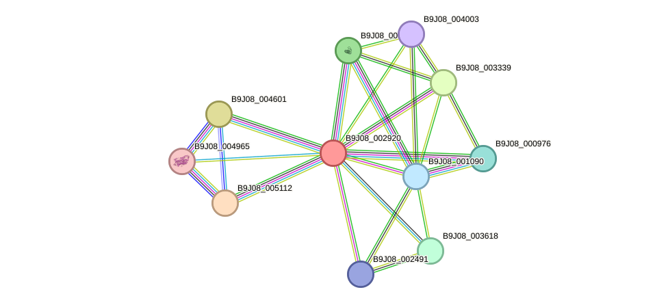 STRING protein interaction network