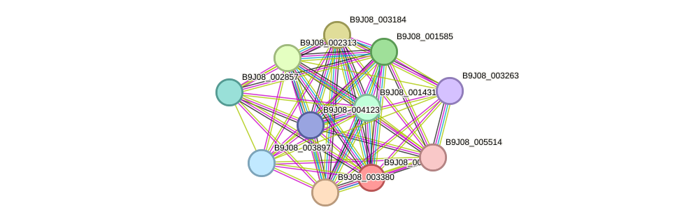 STRING protein interaction network